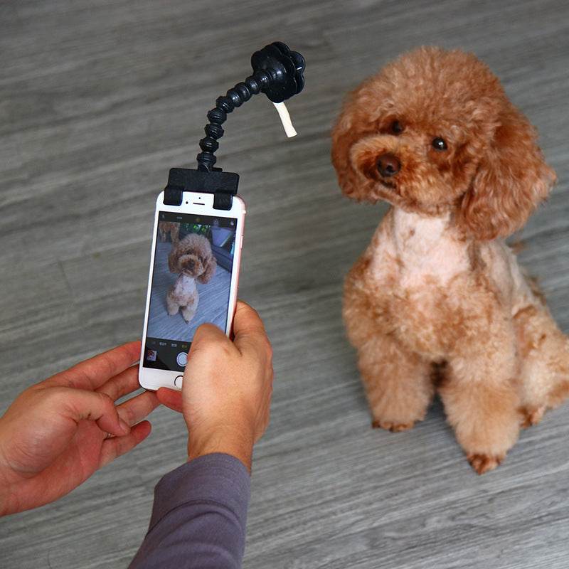 Pet Selfie Stick Pet Supplies Toys Pet Selfie Artifact - ProTrendyz