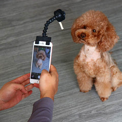 Pet Selfie Stick Pet Supplies Toys Pet Selfie Artifact - ProTrendyz