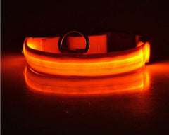 Nylon LED Pet Dog Luminous Collar Night Safety Flashing Glow in Dark Dog Cat Leash Adjustable Pet Supplies - ProTrendyz