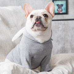 Dog Pet Clothes Spring And Autumn Clothing - ProTrendyz