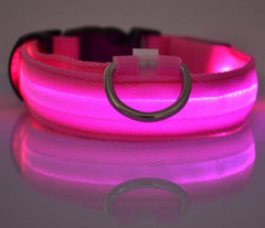 Nylon LED Pet Dog Luminous Collar Night Safety Flashing Glow in Dark Dog Cat Leash Adjustable Pet Supplies - ProTrendyz
