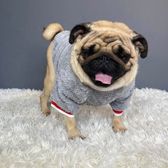 Pet sweater - ProTrendyz