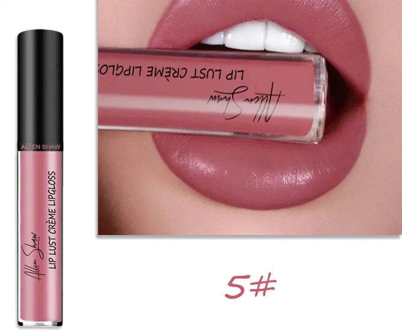 Silky Cream Texture Lip Gloss Aliexpress Shopee Cross-Border Exclusive Lip Glaze Lip Gloss Lipstick - ProTrendyz