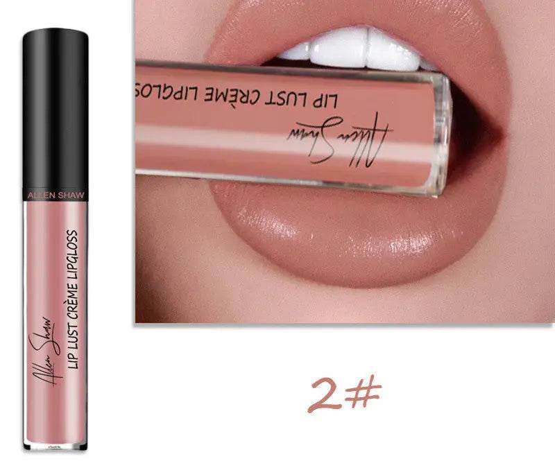 Silky Cream Texture Lip Gloss Aliexpress Shopee Cross-Border Exclusive Lip Glaze Lip Gloss Lipstick - ProTrendyz