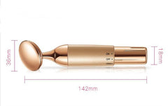 Beauty Equipment Home Electric Facial Importer - ProTrendyz