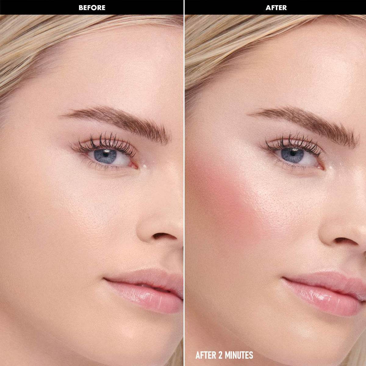 PHOFAY GLOSS VISAGE BLUSH - ProTrendyz