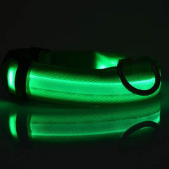Nylon LED Pet Dog Luminous Collar Night Safety Flashing Glow in Dark Dog Cat Leash Adjustable Pet Supplies - ProTrendyz