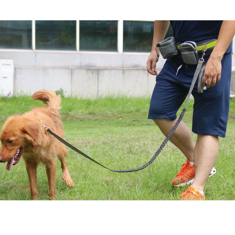 Adjustable Hands Free Dog Leash - ProTrendyz