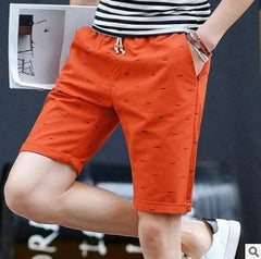 Wholesale Summer Shorts for men, shorts for men, shorts for men, cotton for men, pants for men - ProTrendyz