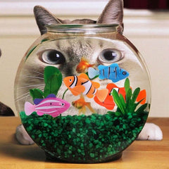 Swimming Electronic Pet Fish Kid Bath Toys - ProTrendyz
