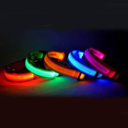 Nylon LED Pet Dog Luminous Collar Night Safety Flashing Glow in Dark Dog Cat Leash Adjustable Pet Supplies - ProTrendyz