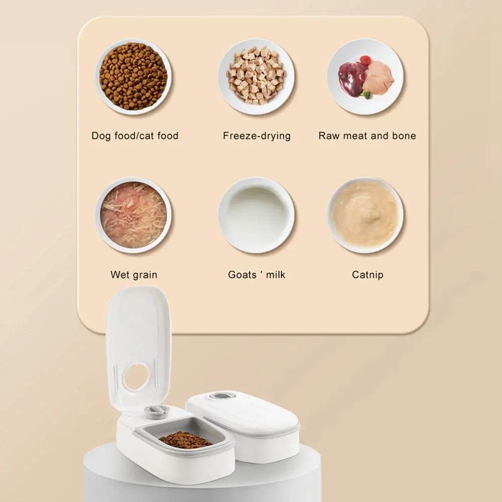 Automatic Pet Feeder Smart Food Dispenser For Cats Dogs Timer Stainless Steel Bowl Auto Dog Cat Pet Feeding Pets Supplies - ProTrendyz