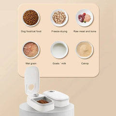 Automatic Pet Feeder Smart Food Dispenser For Cats Dogs Timer Stainless Steel Bowl Auto Dog Cat Pet Feeding Pets Supplies - ProTrendyz