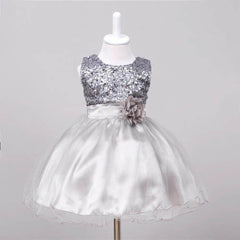 Baby Sequin Dress Flower Girl Wedding Princess Dress - ProTrendyz