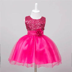 Baby Sequin Dress Flower Girl Wedding Princess Dress - ProTrendyz