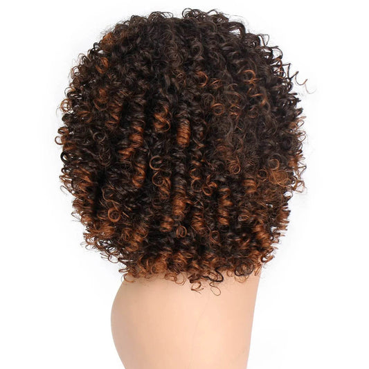 European American Wig Curly Brown - ProTrendyz
