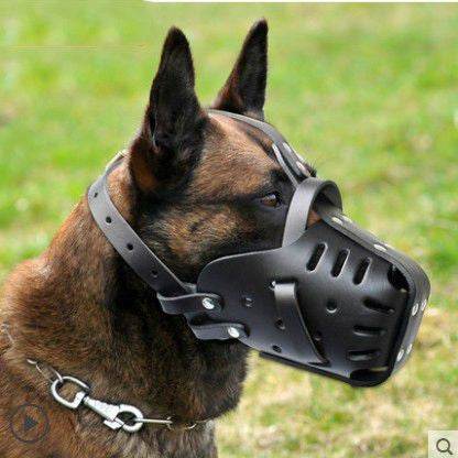 Cowhide Dog Muzzle Medium And Large Dog Horse Dog - ProTrendyz