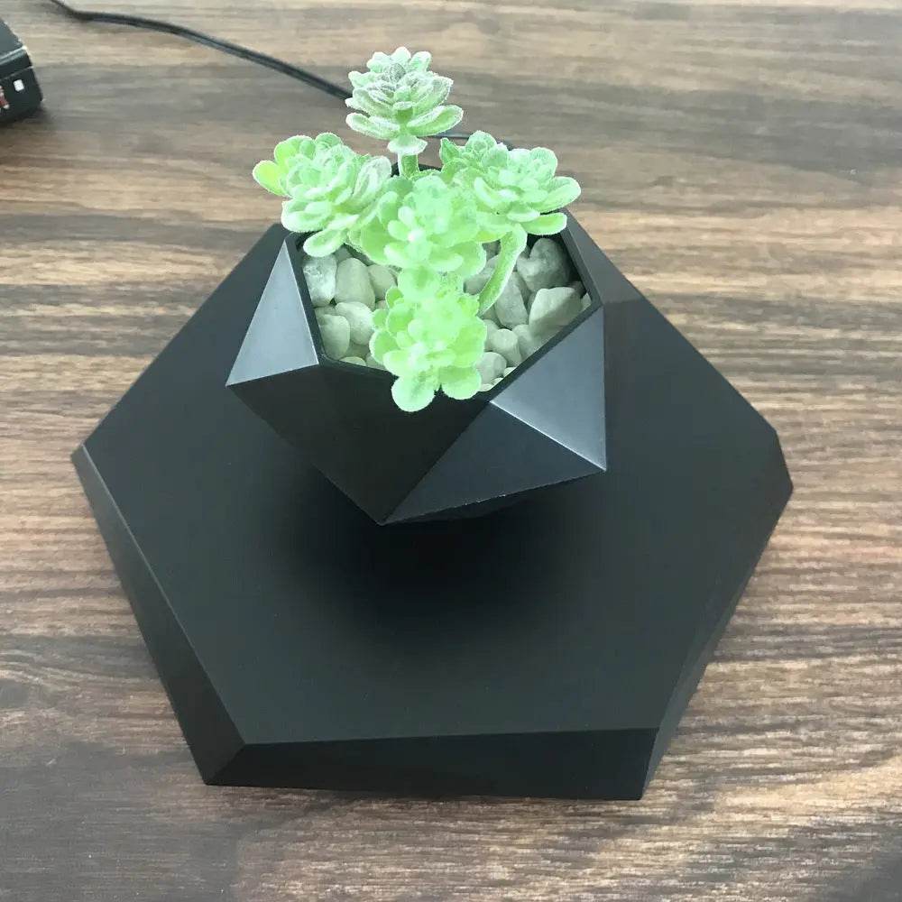 Floating Magnetic Levitating Flower Pot Bonsai Air Plant Pot Planter Potted For Home Office Desk Decor Creative Gift - ProTrendyz