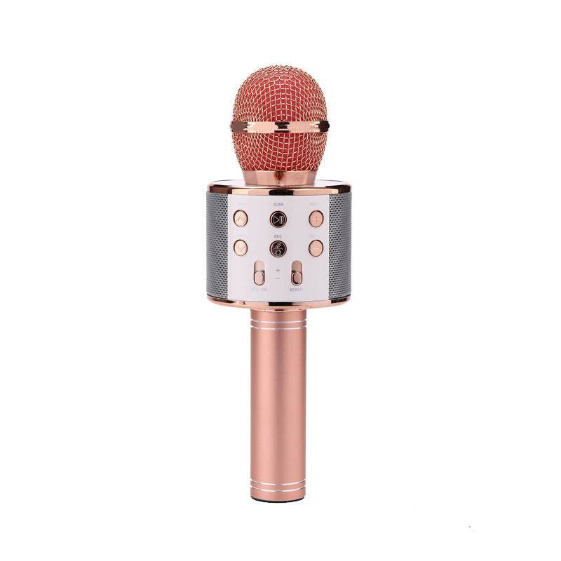 Wireless Microphone Portable Bluetooth Mini Home Ktv For Music Playing Singing Speaker Player - ProTrendyz