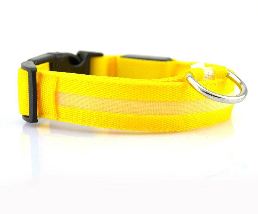Nylon LED Pet Dog Luminous Collar Night Safety Flashing Glow in Dark Dog Cat Leash Adjustable Pet Supplies - ProTrendyz