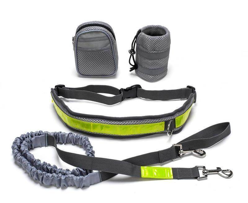 Adjustable Hands Free Dog Leash - ProTrendyz