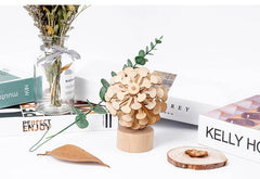 Solid Wooden Rotating Lollipop Fischer Series Creative Ornaments Decompression Toys Decompression Artifact Gyro - ProTrendyz