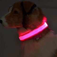 Nylon LED Pet Dog Luminous Collar Night Safety Flashing Glow in Dark Dog Cat Leash Adjustable Pet Supplies - ProTrendyz