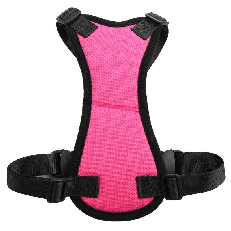 Car seat belts for pets - ProTrendyz