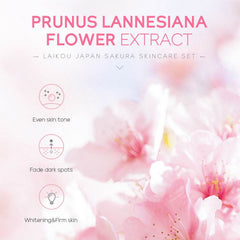 Moisturizing And Moisturizing Face Cream Skin Care Kit - ProTrendyz