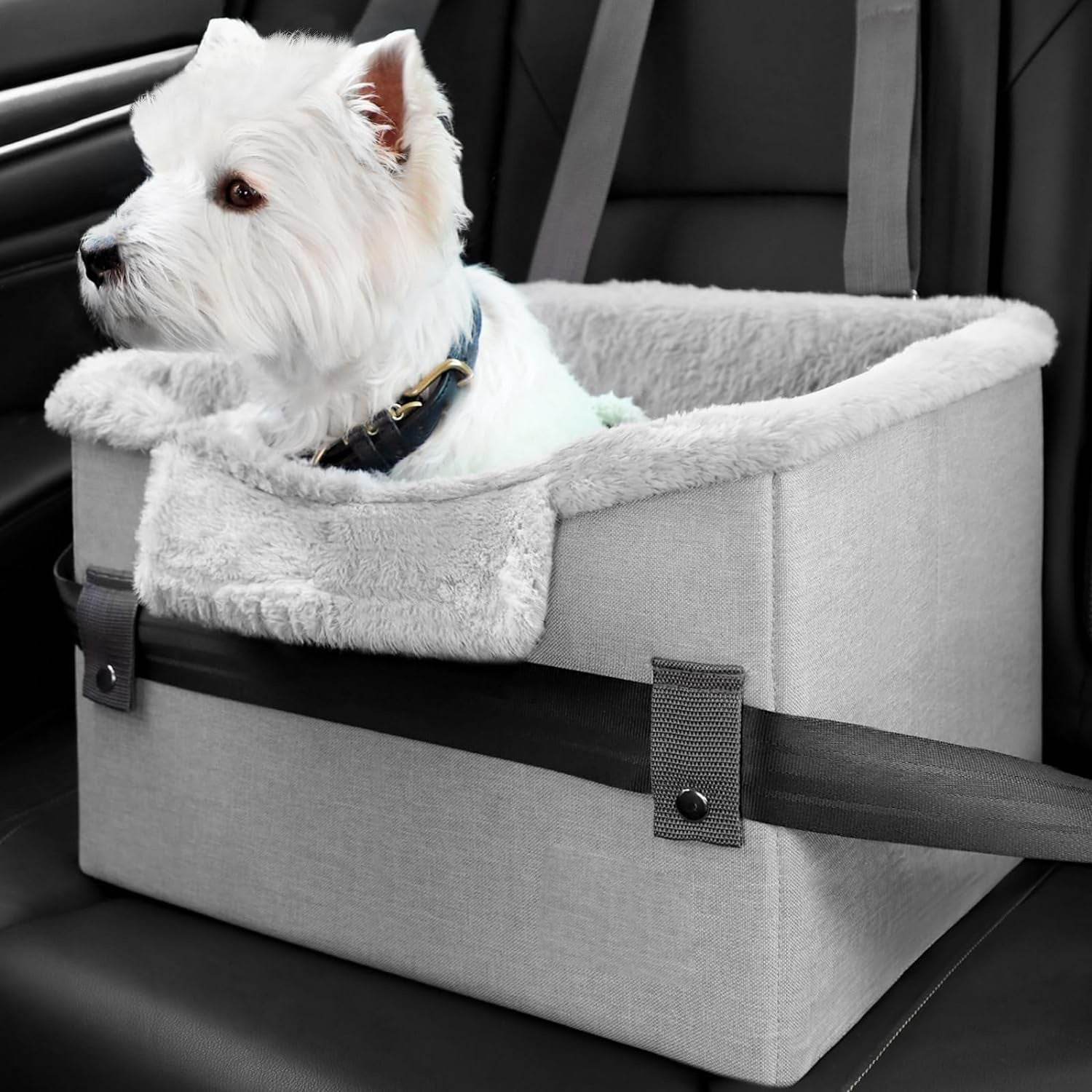 Portable Small Dog Car Seat Dog Booster Seat For Car With Clip-On Safety Leash Perfect For Small Pets Pet Products - ProTrendyz