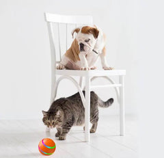 Pet New Cat Wicked Ball Toy Intelligent Ball USB Cat Toys Self Rotating Ball Automatic Rotation Ball - ProTrendyz