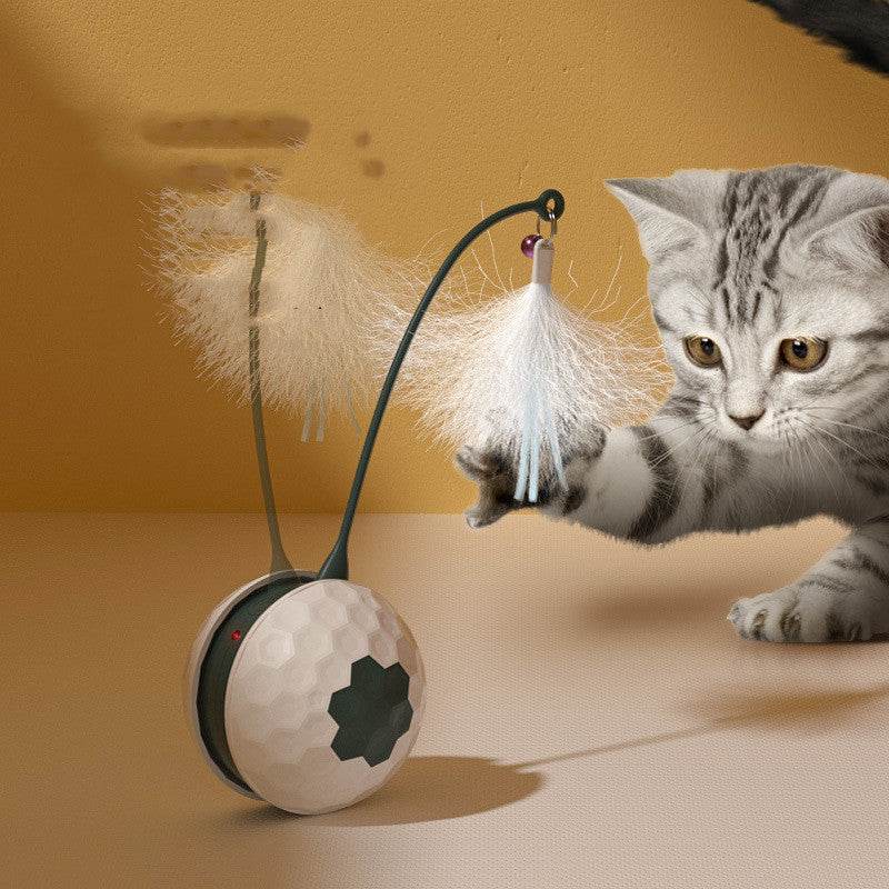 Enjoying Electric Intelligent Bite Resistant Cat Toys Pet Products - ProTrendyz
