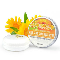 Ginger Skin Care Shampoo Conditioner Essential Oil Soap Nourishing - ProTrendyz