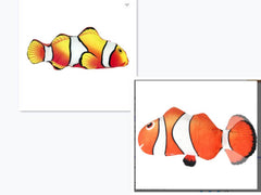 Electric Funny Cat Simulation Fish Beating Usb Jumping Cat Toy - ProTrendyz