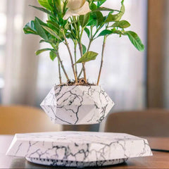 Floating Magnetic Levitating Flower Pot Bonsai Air Plant Pot Planter Potted For Home Office Desk Decor Creative Gift - ProTrendyz