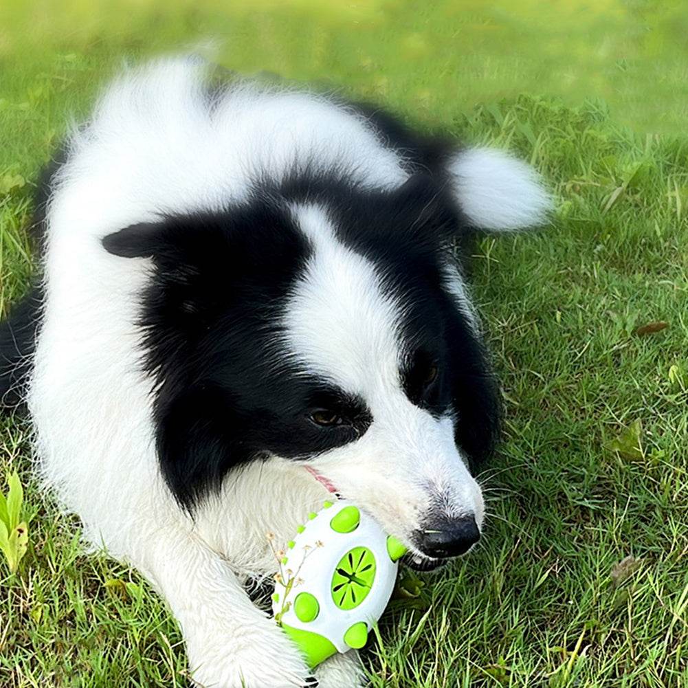 Pet Dog Toy Interactive TPR Leaking Food Toys For Small Large Dogs Cat Chewing Toys Pet Tooth Cleaning Indestructible Puppy Toys - ProTrendyz