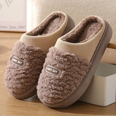 Men's Cotton Winter Household Woolen Thick Bottom And Warm Keeping Slippers - ProTrendyz