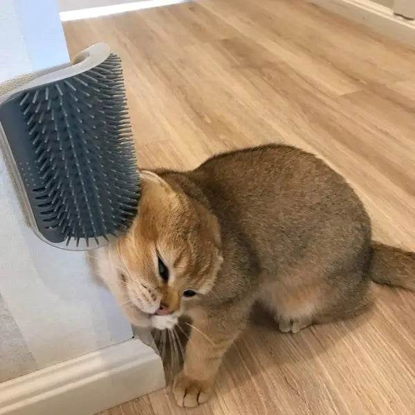 Cat Self-Grooming Brush Pet Wall Rubbing Device - ProTrendyz
