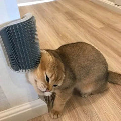 Cat Self-Grooming Brush Pet Wall Rubbing Device - ProTrendyz