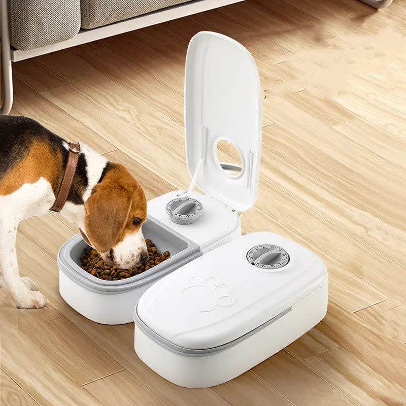 Automatic Pet Feeder Smart Food Dispenser For Cats Dogs Timer Stainless Steel Bowl Auto Dog Cat Pet Feeding Pets Supplies - ProTrendyz