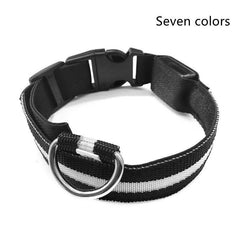 Nylon LED Pet Dog Luminous Collar Night Safety Flashing Glow in Dark Dog Cat Leash Adjustable Pet Supplies - ProTrendyz