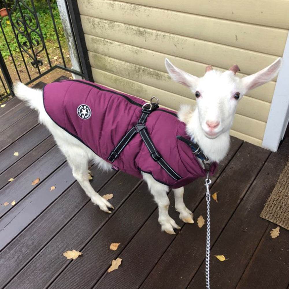 Waterproof Dog Clothes Winter Dog Coat With Harness Warm Pet Clothing Big Dog Jacket Chihuahua Labrador Coat Costume - ProTrendyz