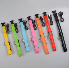 Nylon LED Pet Dog Luminous Collar Night Safety Flashing Glow in Dark Dog Cat Leash Adjustable Pet Supplies - ProTrendyz