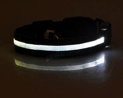 Nylon LED Pet Dog Luminous Collar Night Safety Flashing Glow in Dark Dog Cat Leash Adjustable Pet Supplies - ProTrendyz