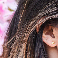 Shining Star Tassel Earrings Back Hanging Exquisite Earrings - ProTrendyz