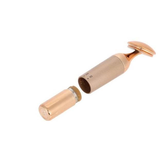 Beauty Equipment Home Electric Facial Importer - ProTrendyz