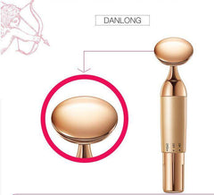Beauty Equipment Home Electric Facial Importer - ProTrendyz