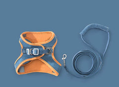 Cat Traction Rope Chest Strap To Prevent Breaking Free Pets Cat Strap - ProTrendyz