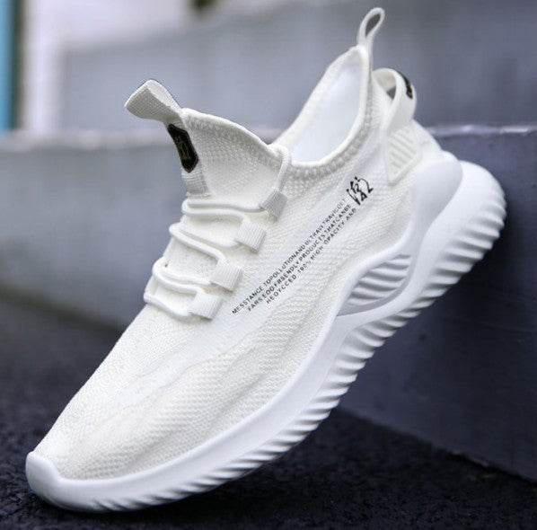 Explosive Style Men S Shoes Korean Net Shoes Cloth Shoes - ProTrendyz
