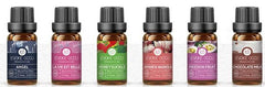 Evoke Occu Scented Candle Essential Oil 10Ml Fragrance Oil Fragrance Oil Diffuser Essential Oil - ProTrendyz